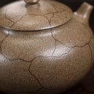 Bing Lie Fu Shu 150cc - Yixing Handmade Teapot - zycs_China