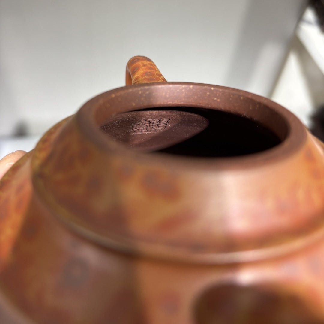 Bu Bu Gao Sheng 240cc - Yixing Handmade Teapot - zycs_China