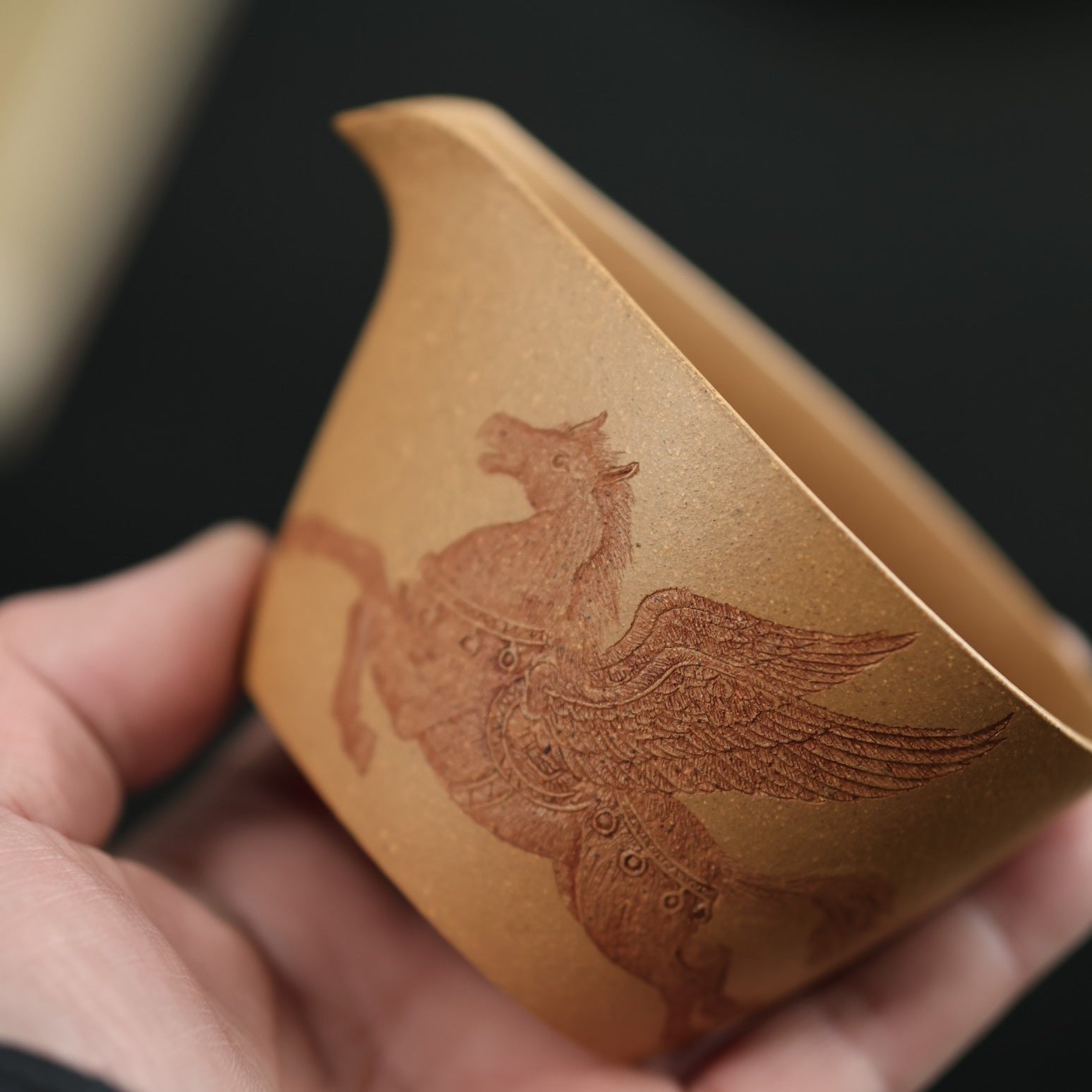 Cai Ma 180cc - Fair Cup - zycs_China