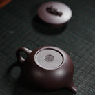 Cang Long 145cc - Yixing Handmade Teapot 江苏宜兴