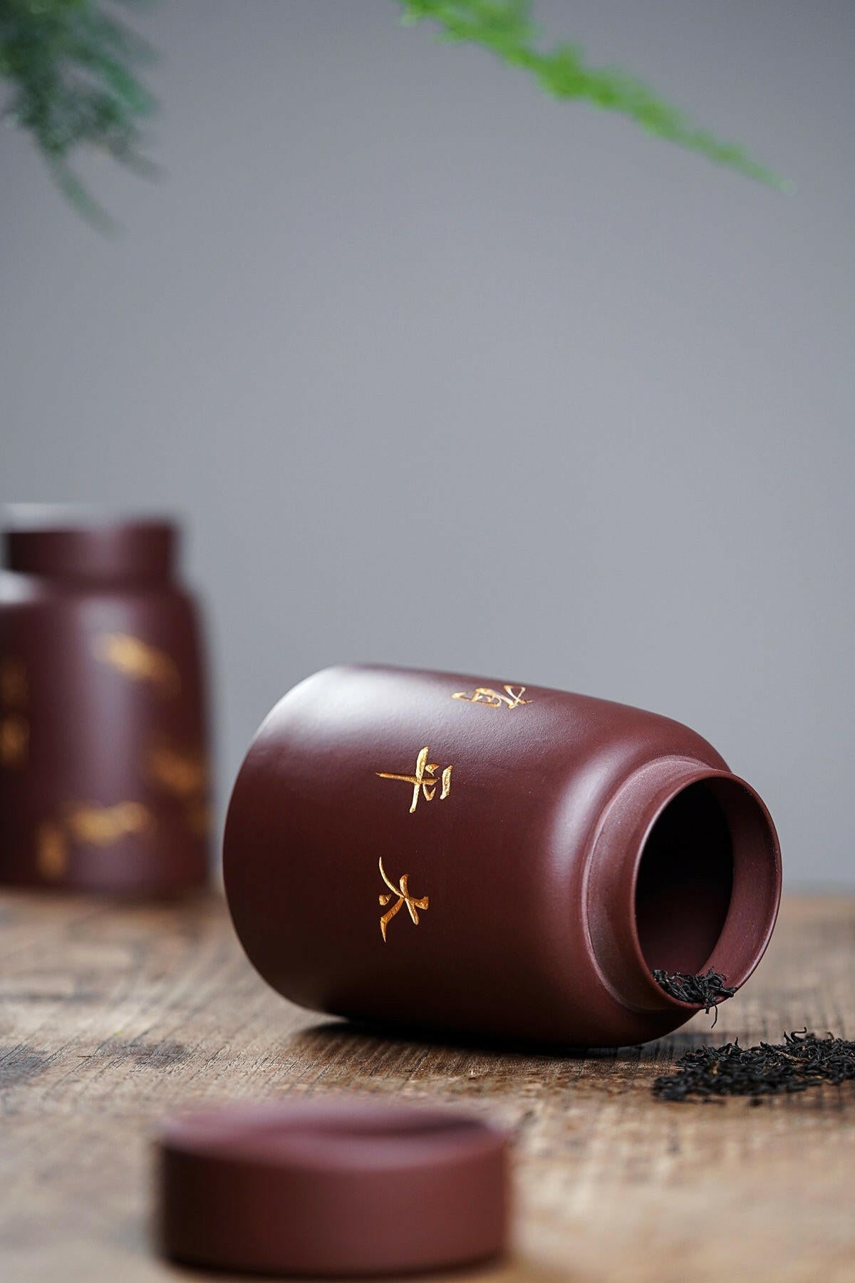 Cha Cang - Yixing Handmade Zisha Teacan - zycs_China