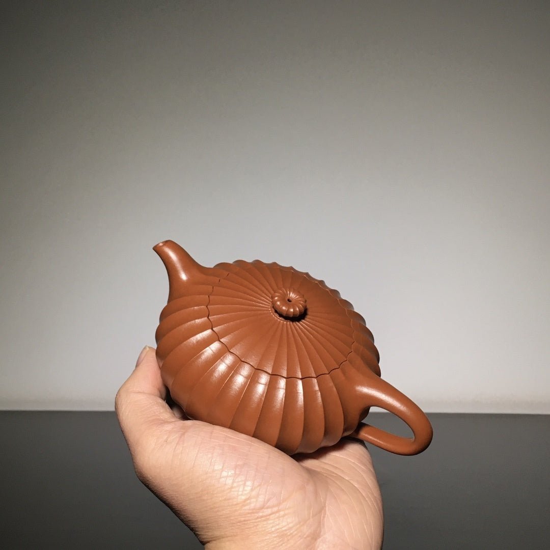 Chan Yi 240cc - Yixing Handmade Teapot - zycs_China