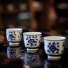 Chan Zhi Hua Hui 125cc - Jing De Zhen Porcelain Gaiwan - zycs_China