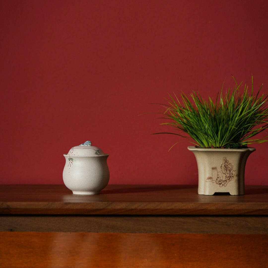 Chang Xiang Shou - Yixing Handmade Gaiwan - zycs_China