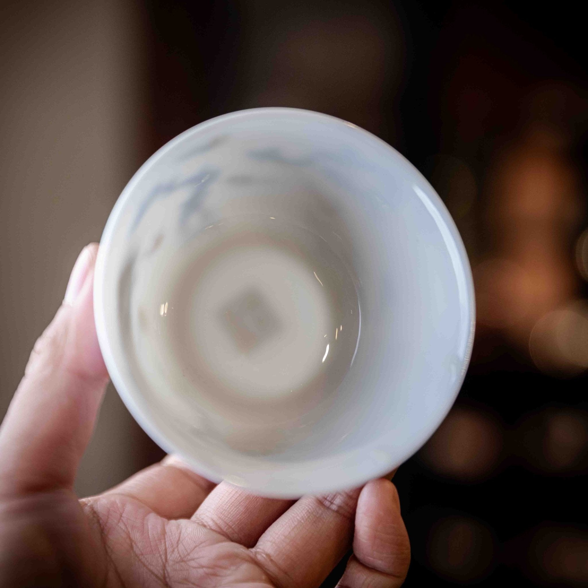 Chi Long 160cc - Jing De Zhen Porcelain Gaiwan - zycs_China