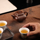Chuan Lu 180cc - Yixing Handmade Teapot 江苏宜兴