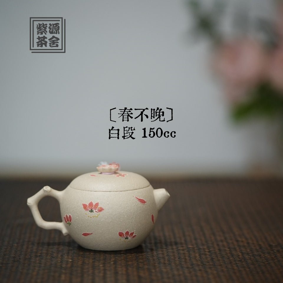 Chun Bu Wan 150cc - Yixing Handmade Teapot - zycs_China