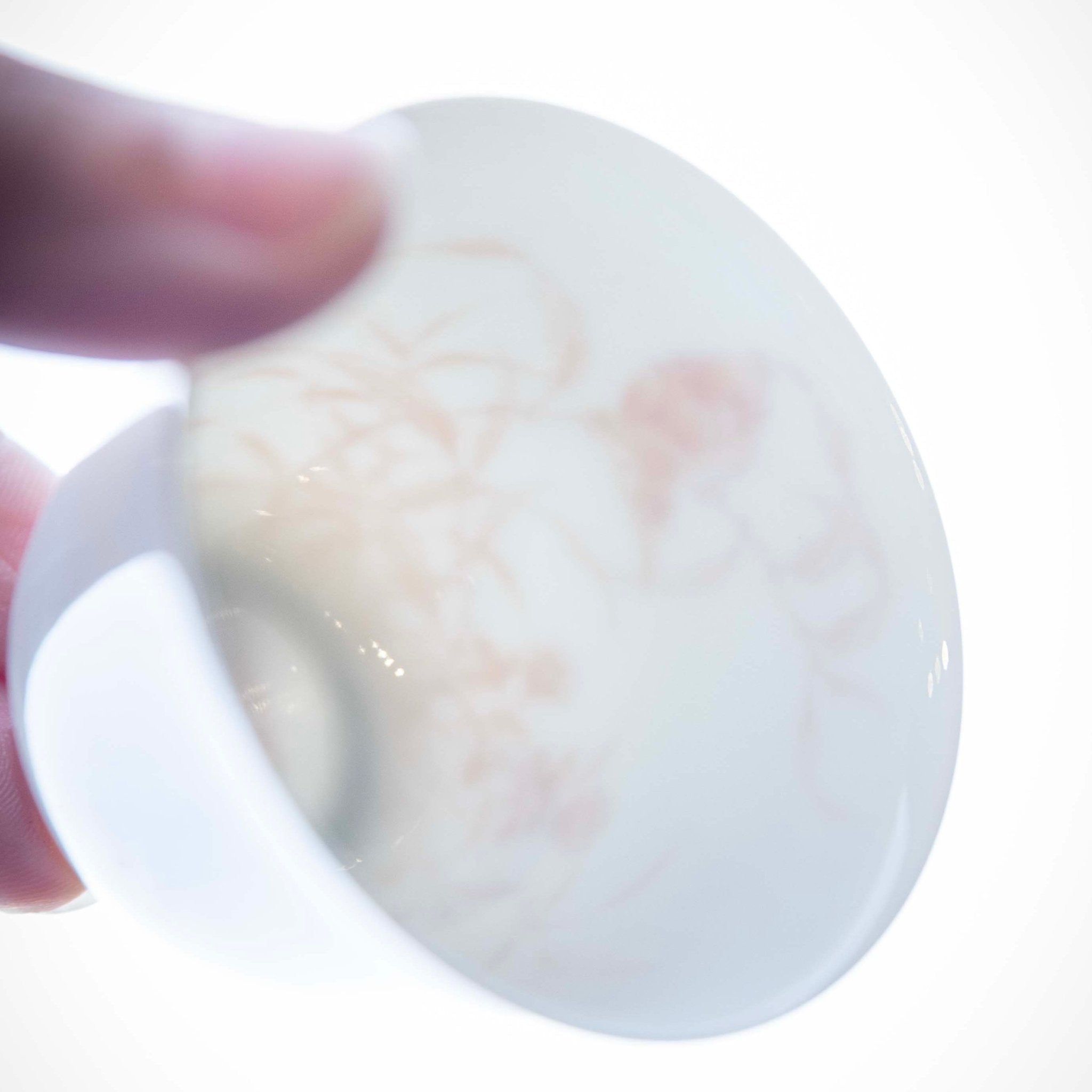 Cui Niao 100cc - Jing De Zhen Porcelain Gaiwan - zycs_China