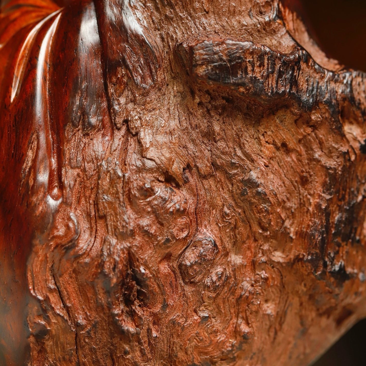 Da Mo - Wood Sculpture - zycs_China
