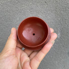 Fan Hua Si Jin 200cc - Yixing Handmade Teapot - zycs_China