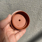 Fang Gu 180cc - Yixing Handmade Teapot - zycs_China