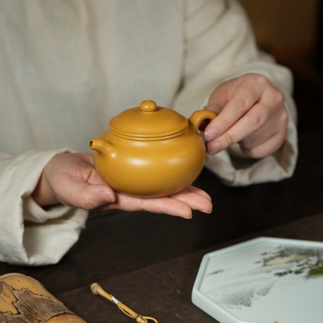 Fang Gu 200cc - Yixing Handmade Teapot - zycs_China