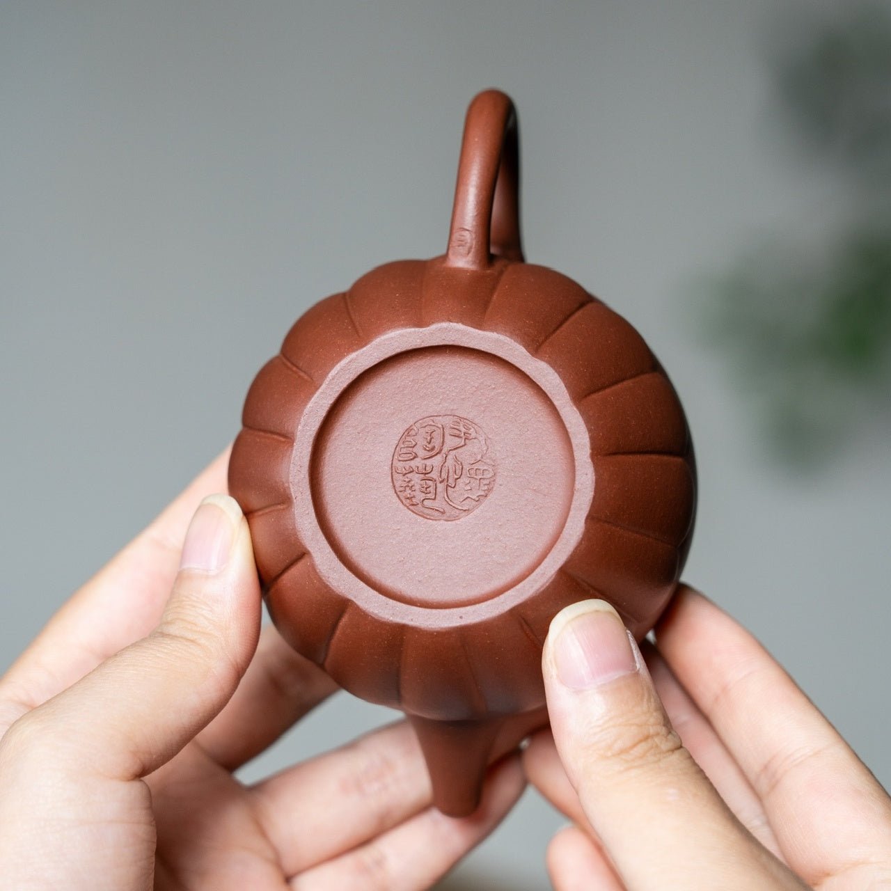 Feng Zhu Bi Ju 160cc - Yixing Handmade Teapot - zycs_China