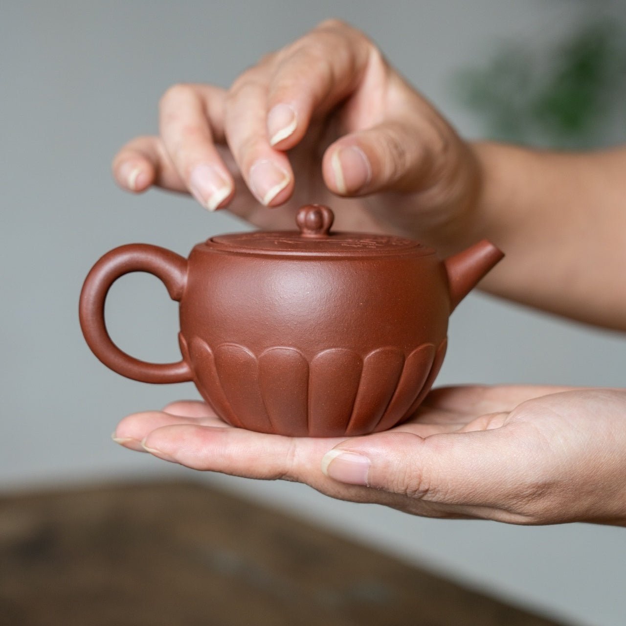 Feng Zhu Bi Ju 160cc - Yixing Handmade Teapot - zycs_China