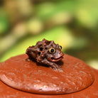 Fu Chan Gong Chun 230cc - Yixing Handmade Teapot - zycs_China