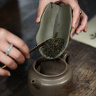 Fu Jia Tian Xia - Tea Spoon - zycs_China