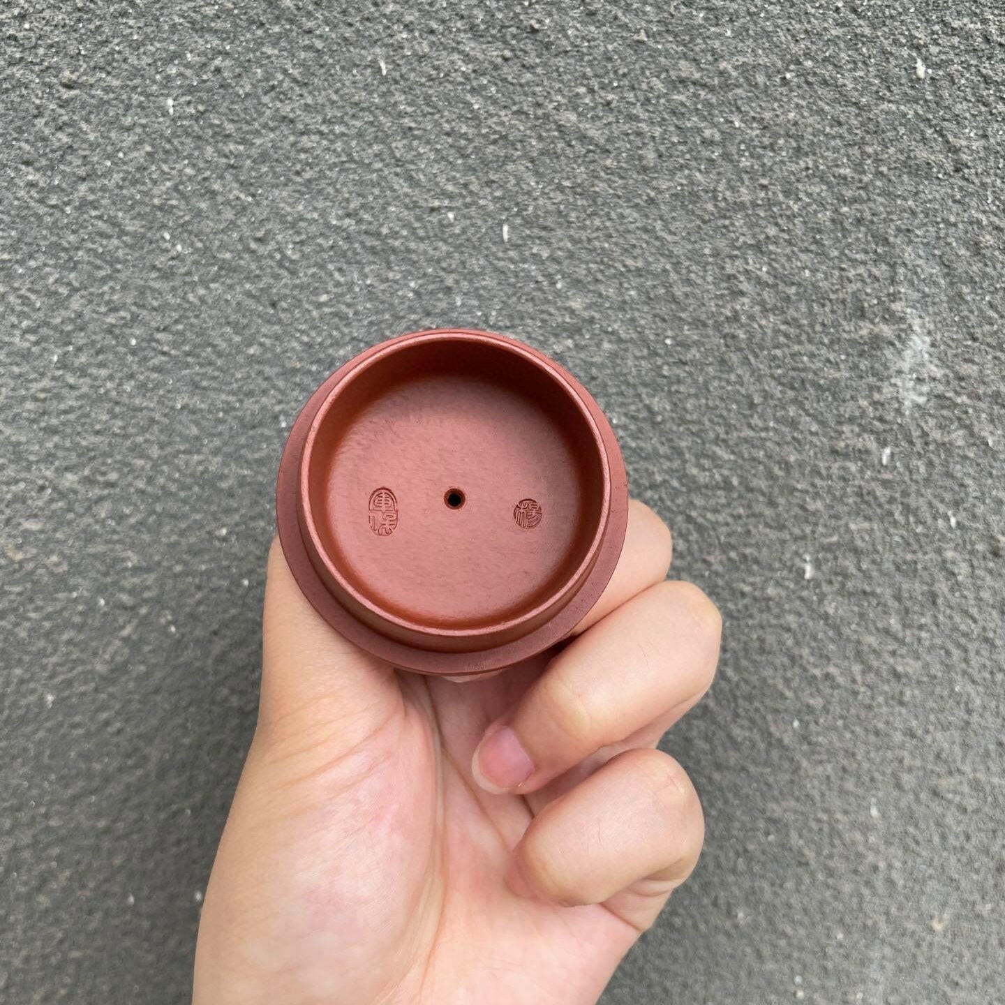 Fu Rui Lin Men 200cc - Yixing Handmade Teapot - zycs_China