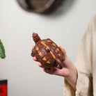 Fu Shou Wu Jiang 160cc - Yixing Handmade Teapot - zycs_China