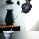 Fu Yuan 200cc - Yixing Handmade Teapot - zycs_China
