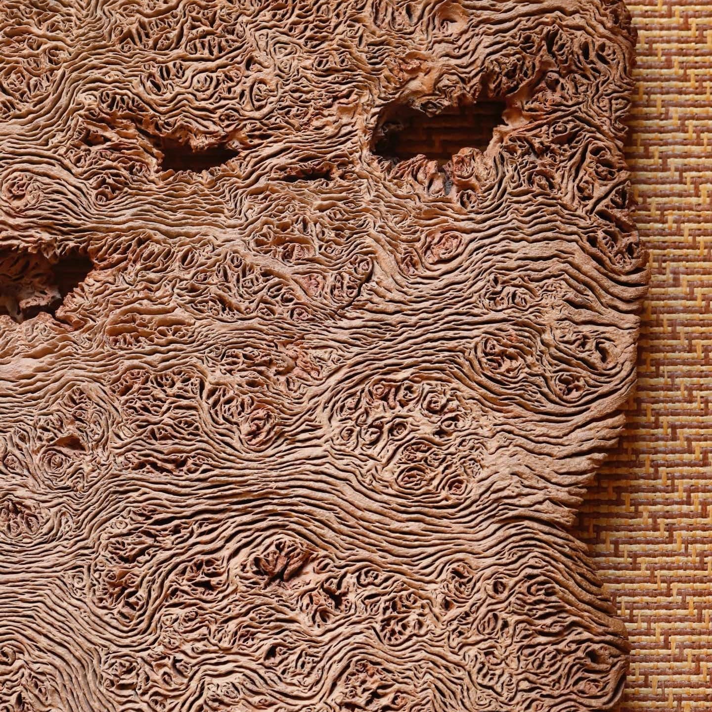 Gan Pao Tai - Dry Bubble Tray - zycs_China