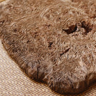 Gan Pao Tai - Dry Bubble Tray - zycs_China