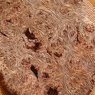 Gan Pao Tai - Dry Bubble Tray - zycs_China