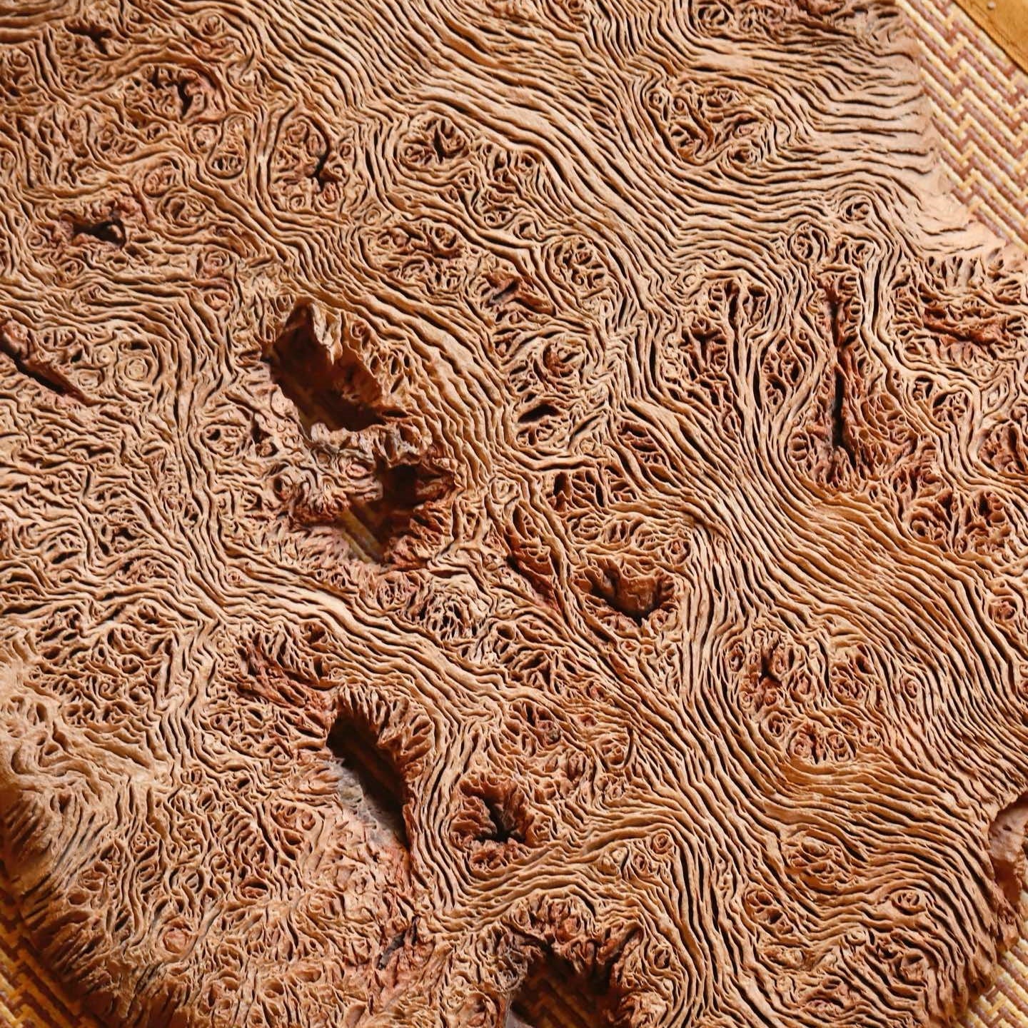 Gan Pao Tai - Dry Bubble Tray - zycs_China