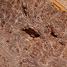 Gan Pao Tai - Dry Bubble Tray - zycs_China