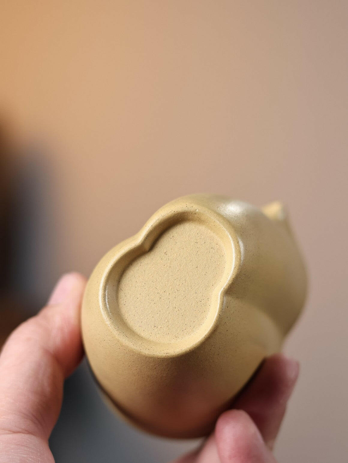 Gao Hai Tang 160cc - Fair Cup - zycs_China