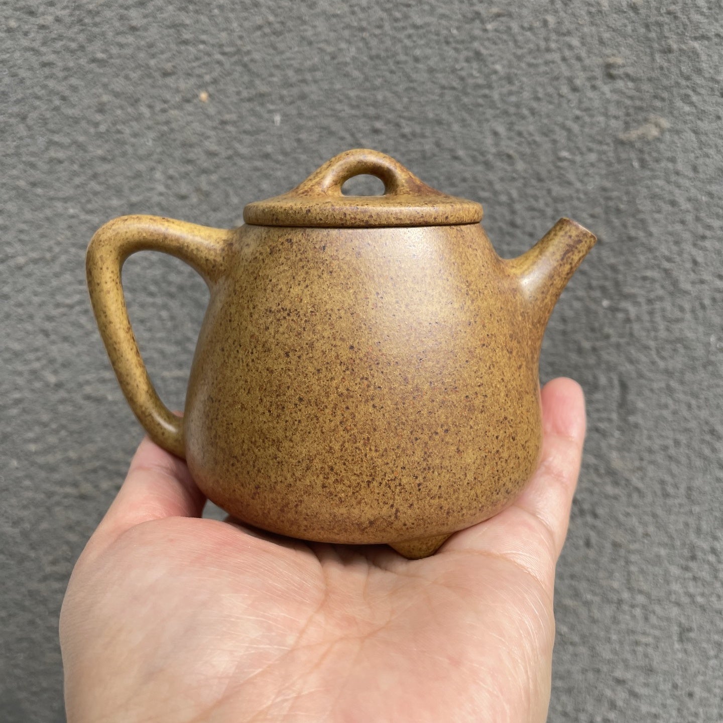 Gao Shi Piao 200cc - Yixing Handmade Teapot - zycs_China