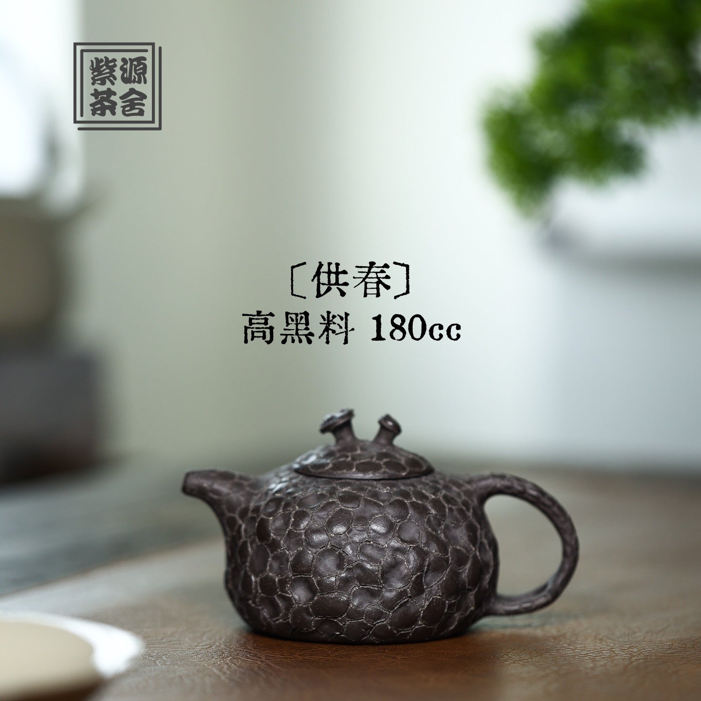 Gong Chun 180cc - Yixing Handmade Teapot - zycs_China