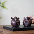 Gong Xi Fa Cai - Tea Pet - zycs_China