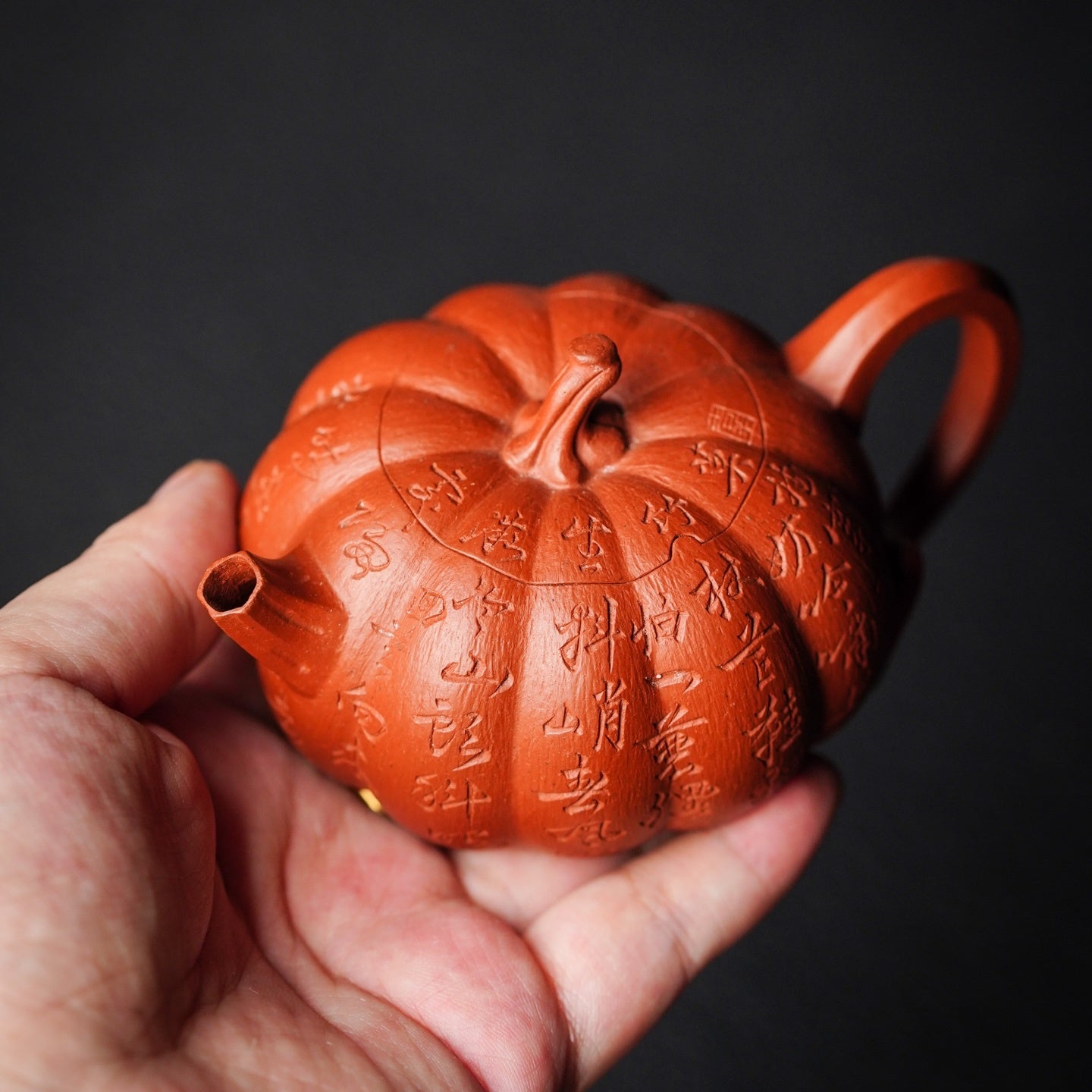 Gua Yu 140cc - Yixing Handmade Teapot - zycs_China