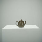Guan Lan 95cc - Yixing Handmade Teapot - zycs_China