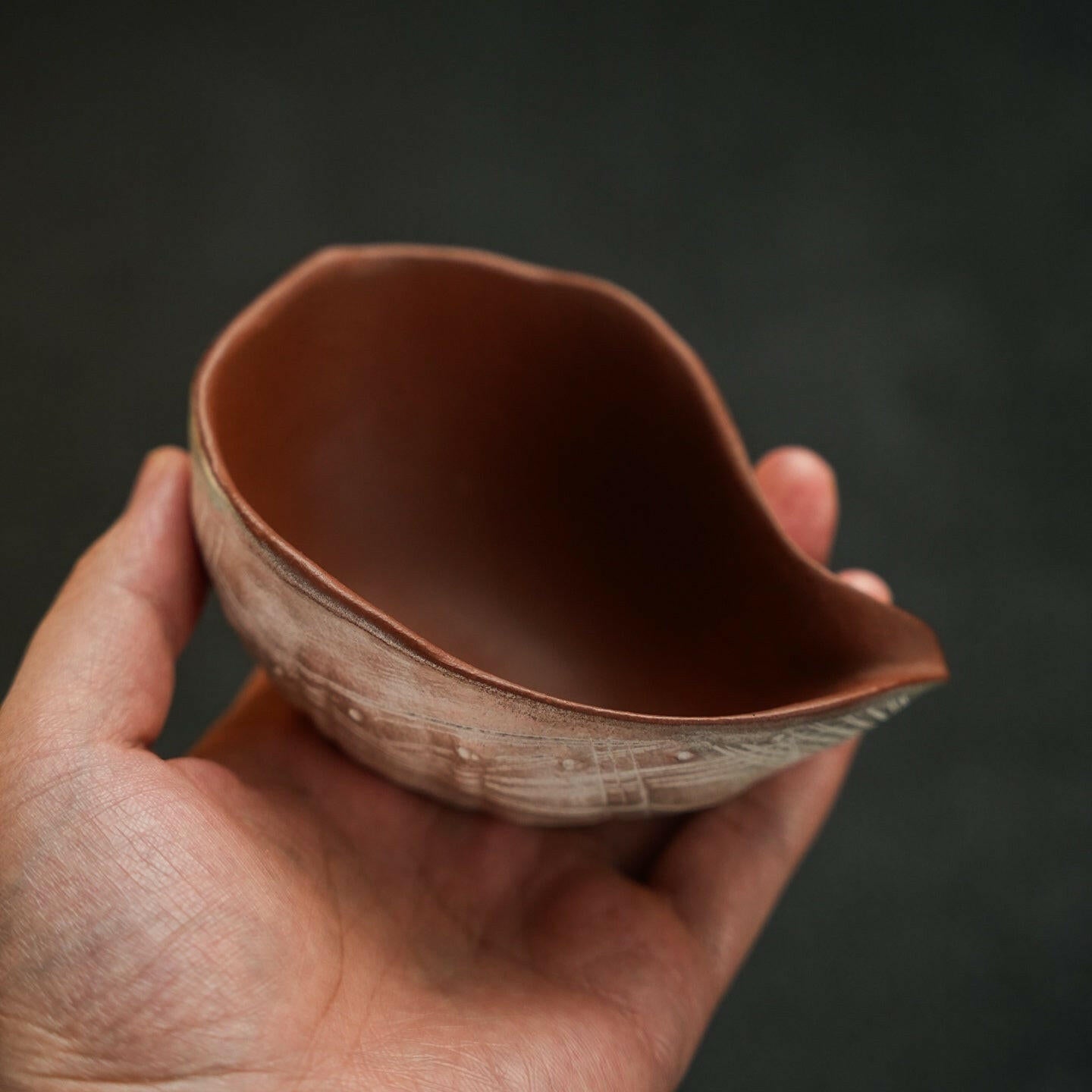 Hai Luo 180cc/90cc - Fair Cup - zycs_China