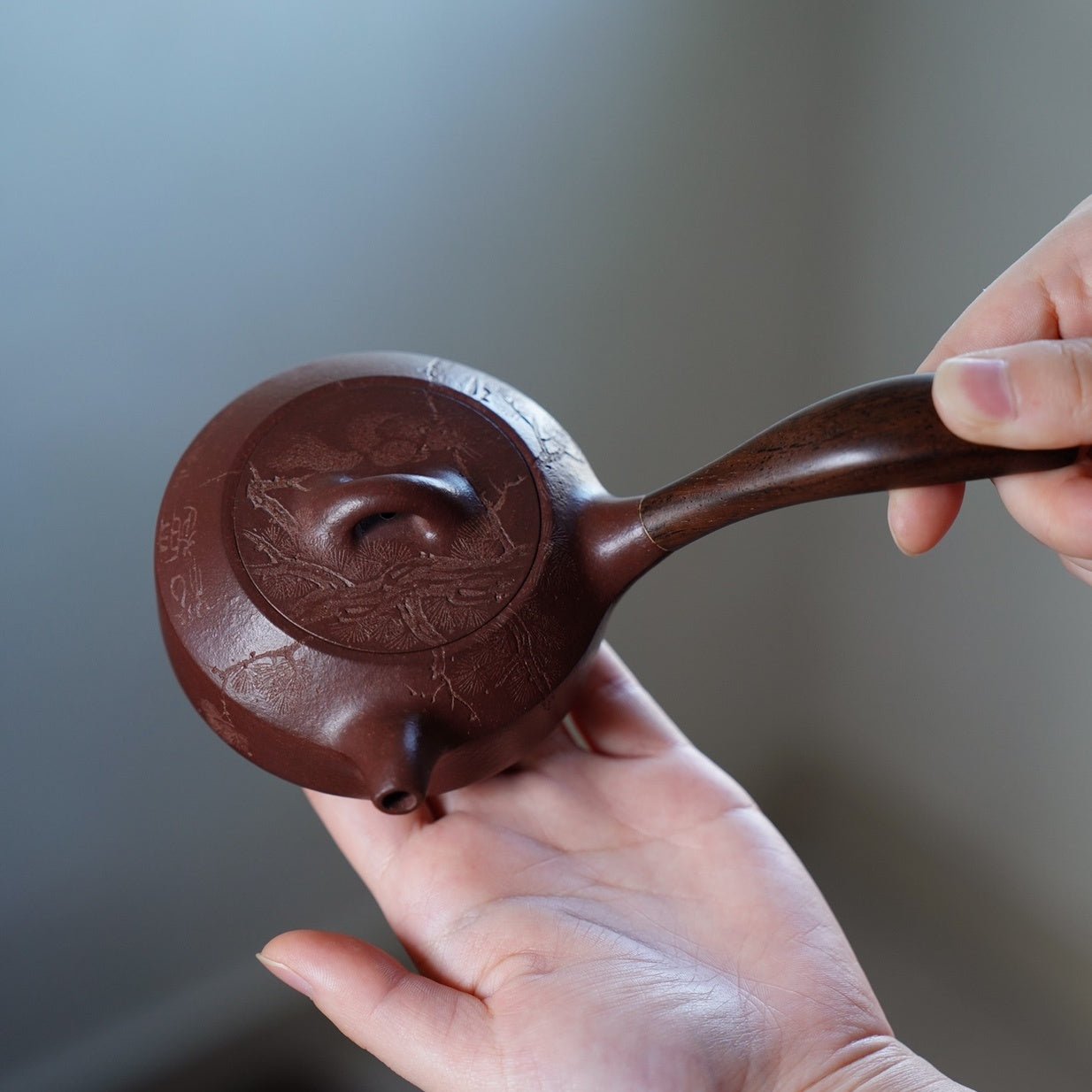 Han Bian Tang Yu 200cc - Yixing Handmade Teapot - zycs_China - tea - teapot