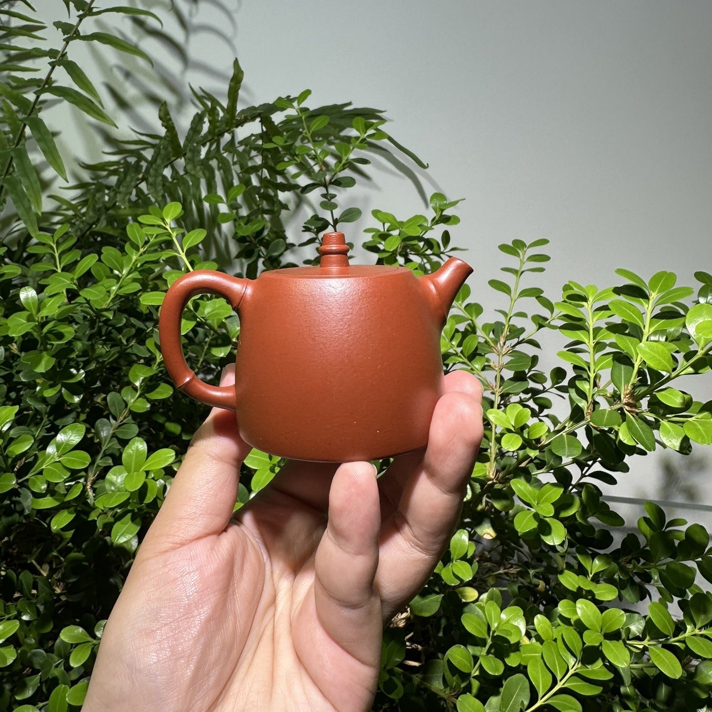 Han Duo Zhu 100cc - Yixing Handmade Teapot - zycs_China
