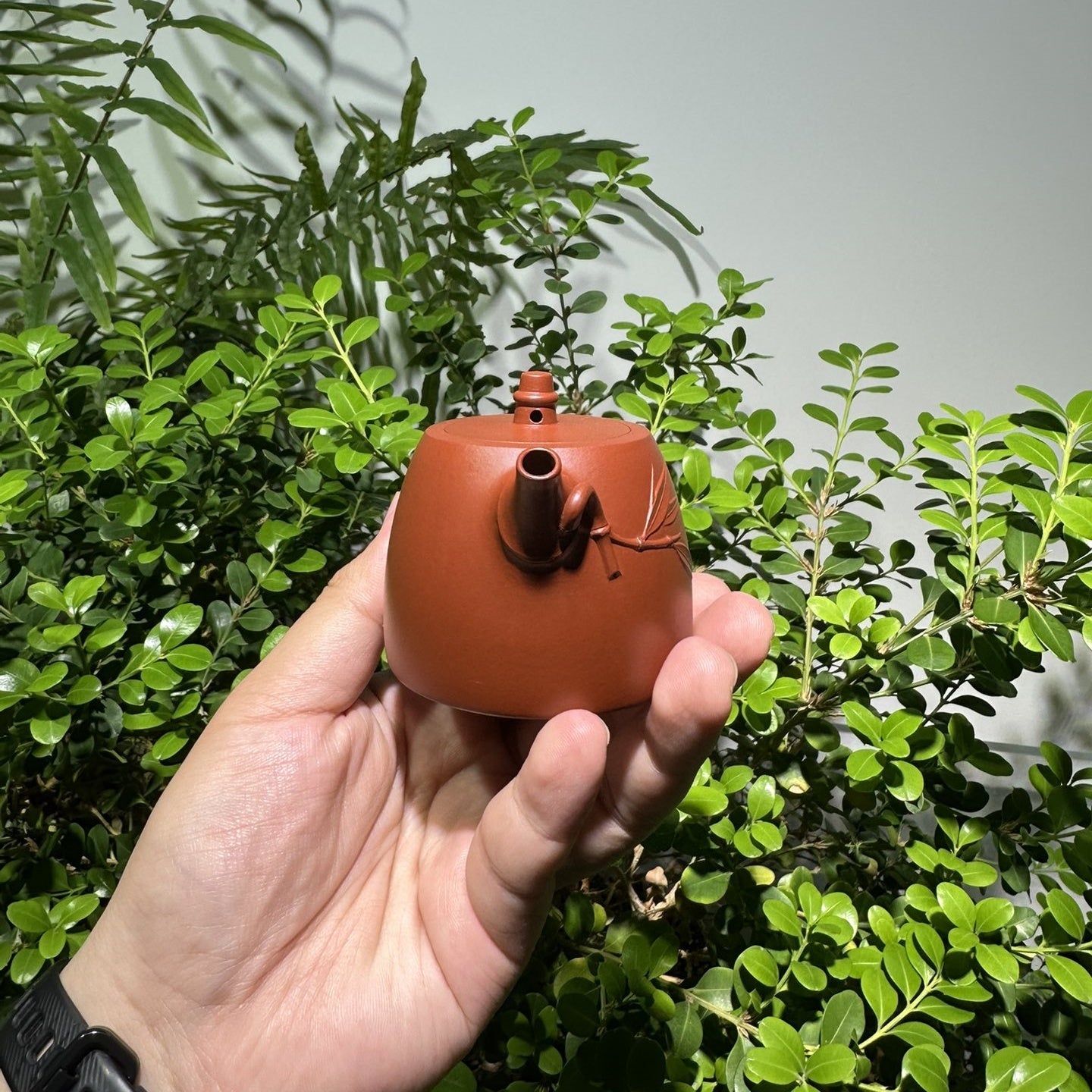 Han Duo Zhu 100cc - Yixing Handmade Teapot - zycs_China