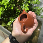 Han Duo Zhu 100cc - Yixing Handmade Teapot - zycs_China
