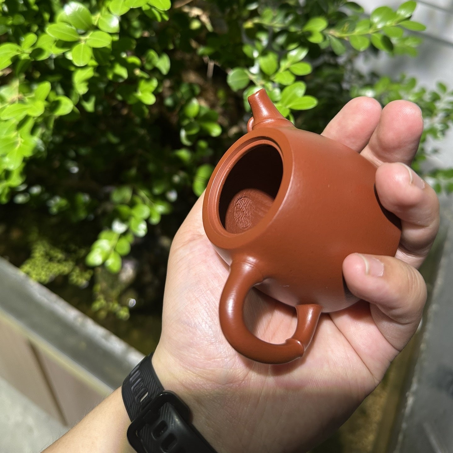 Han Duo Zhu 100cc - Yixing Handmade Teapot - zycs_China