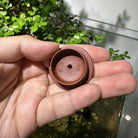 Han Duo Zhu 100cc - Yixing Handmade Teapot - zycs_China