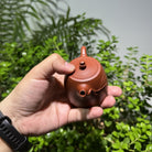 Han Duo Zhu 100cc - Yixing Handmade Teapot - zycs_China
