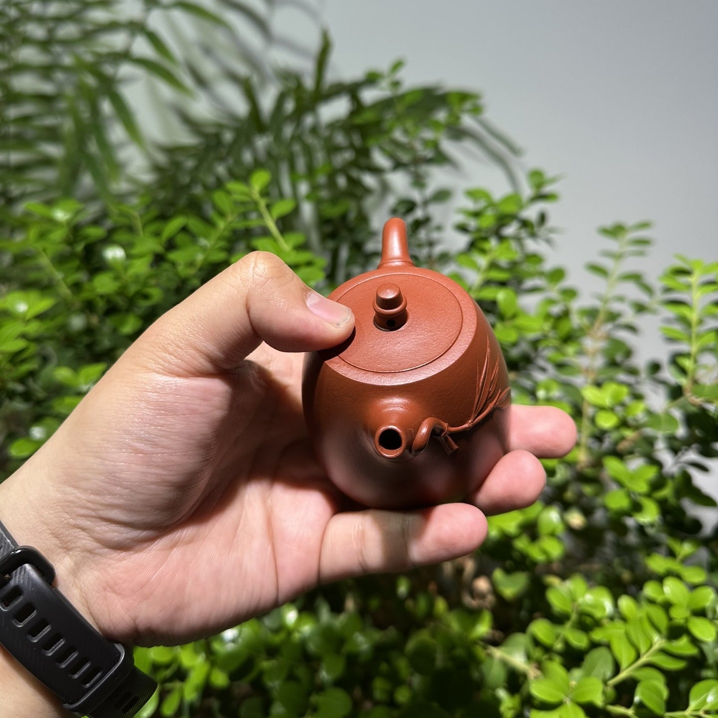 Han Duo Zhu 100cc - Yixing Handmade Teapot - zycs_China