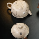 Han Han Feng Qu 160cc - Yixing Handmade Teapot - zycs_China