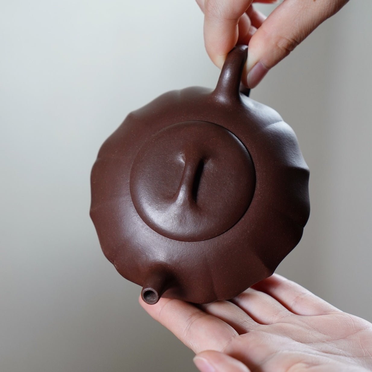 He Huan Zuan 200cc - Yixing Handmade Teapot - zycs_China