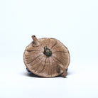 He Qu 110cc - Yixing Handmade Teapot - zycs_China - tea - teapot