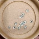 He Xiang Yu Xi Tu - Yixing Handmade Gaiwan - zycs_China