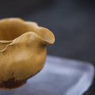 He Ye - Fair Cup - zycs_China