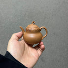 Hu Lu Fu Lu 130cc - Yixing Handmade Teapot - zycs_China
