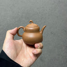 Hu Lu Fu Lu 130cc - Yixing Handmade Teapot - zycs_China